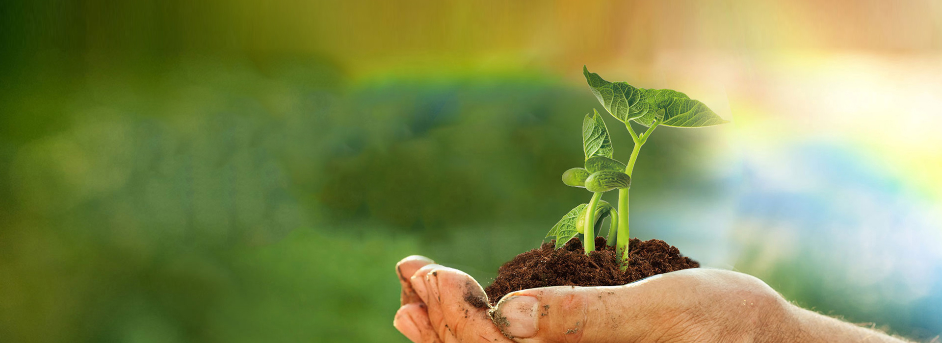 z6com×ðÁú¿-(Öйú)¹«Ë¾¹Ù·½ÍøÕ¾