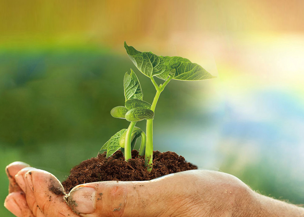 z6com×ðÁú¿-(Öйú)¹«Ë¾¹Ù·½ÍøÕ¾