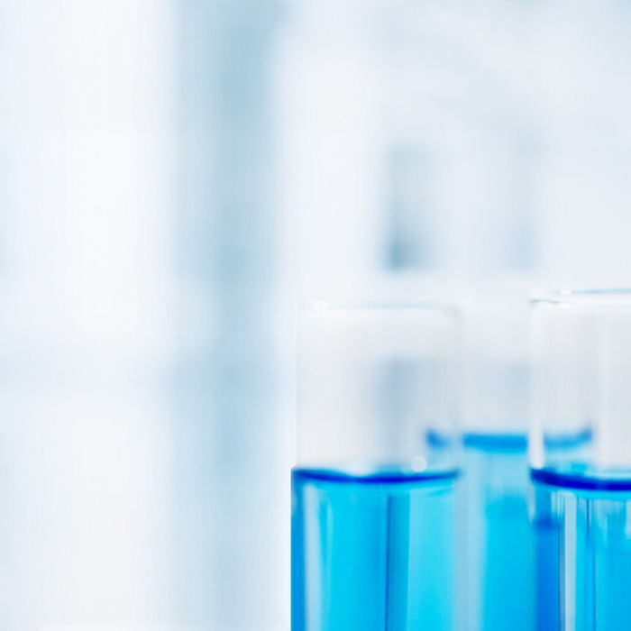 z6com������-(�й�)��˾�ٷ���վ