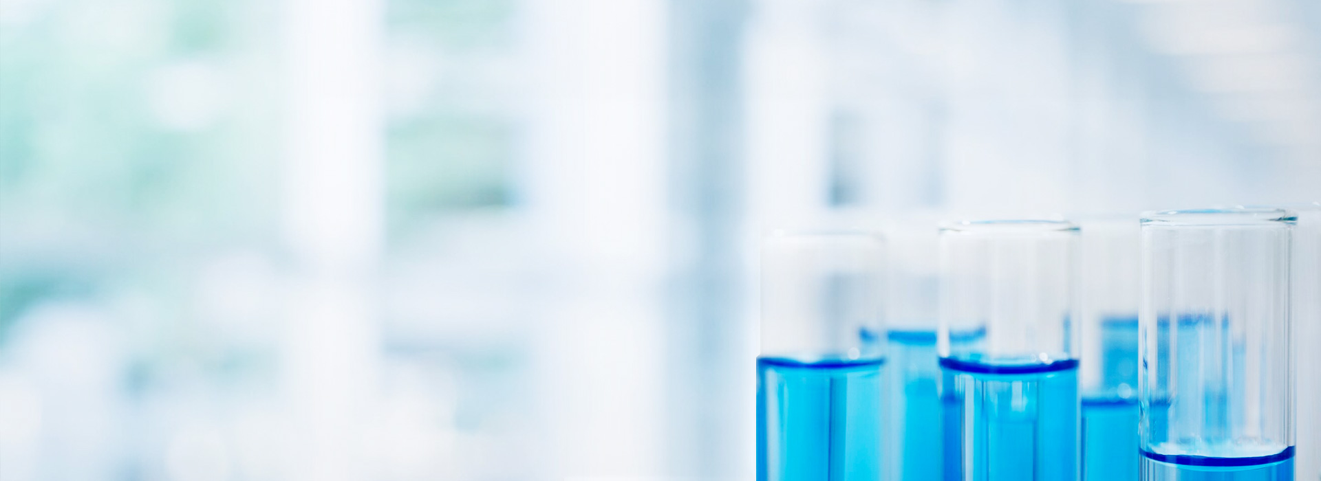 z6com������-(�й�)��˾�ٷ���վ