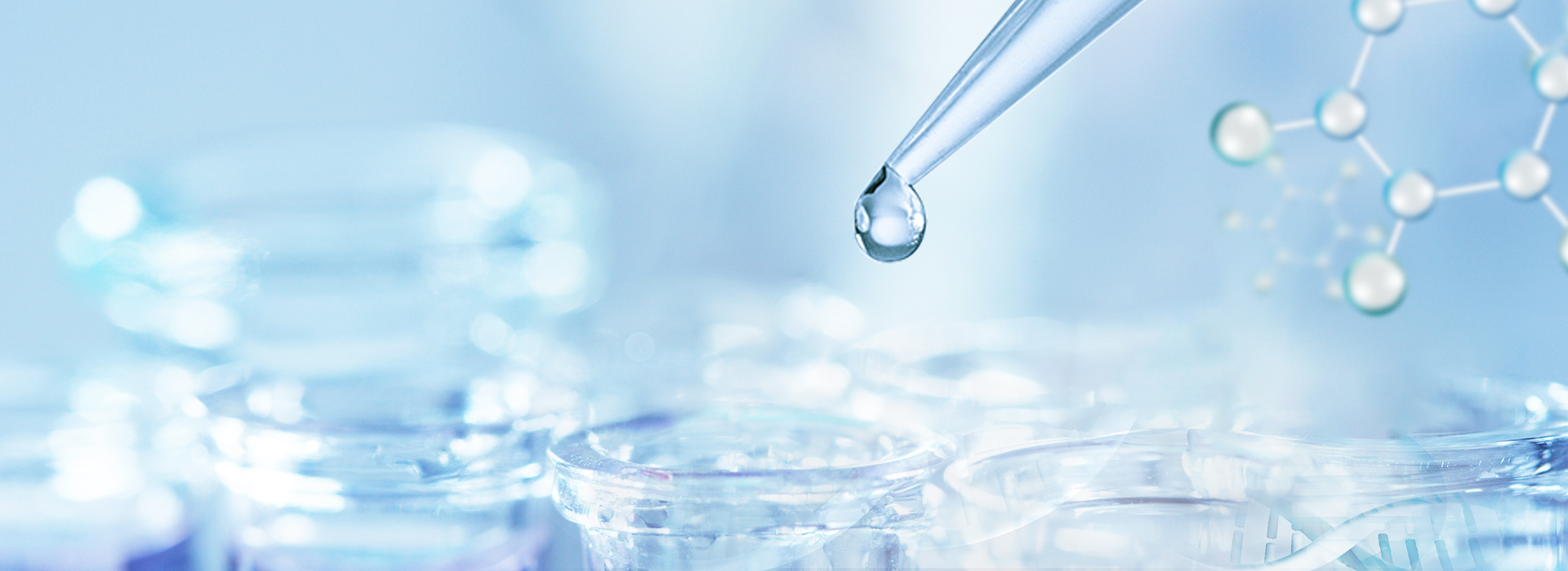 z6com������-(�й�)��˾�ٷ���վ