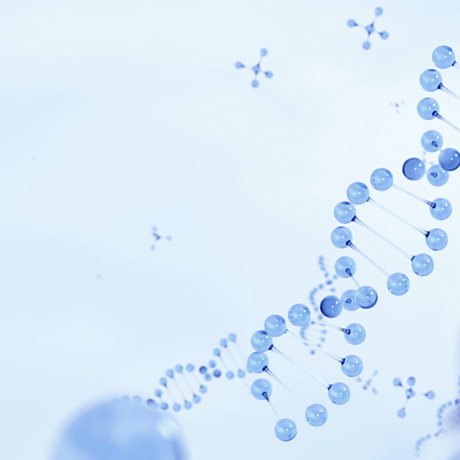 z6com������-(�й�)��˾�ٷ���վ