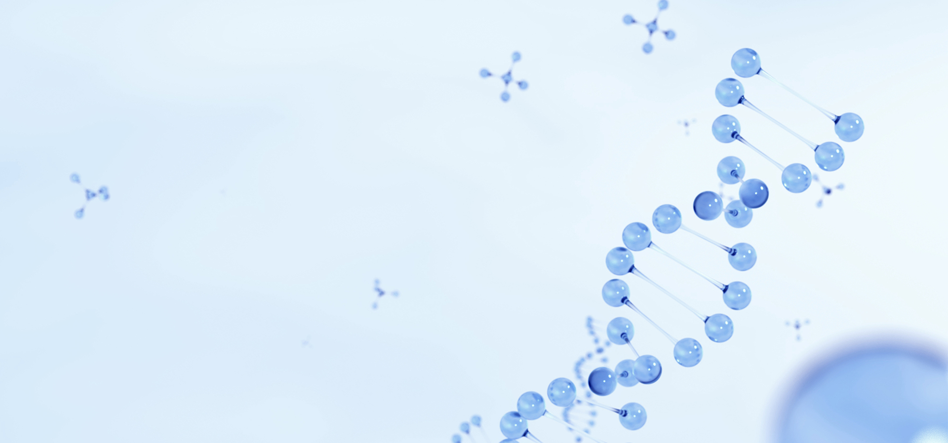 z6com������-(�й�)��˾�ٷ���վ