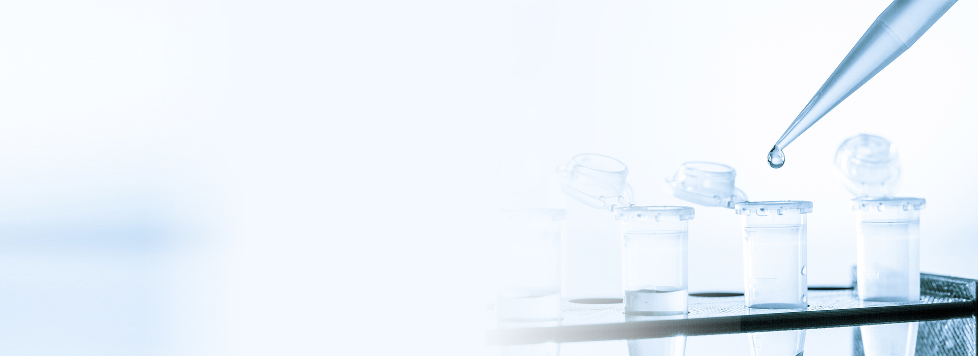 z6com������-(�й�)��˾�ٷ���վ